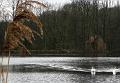 Winterwandeling-Kiewit (36)